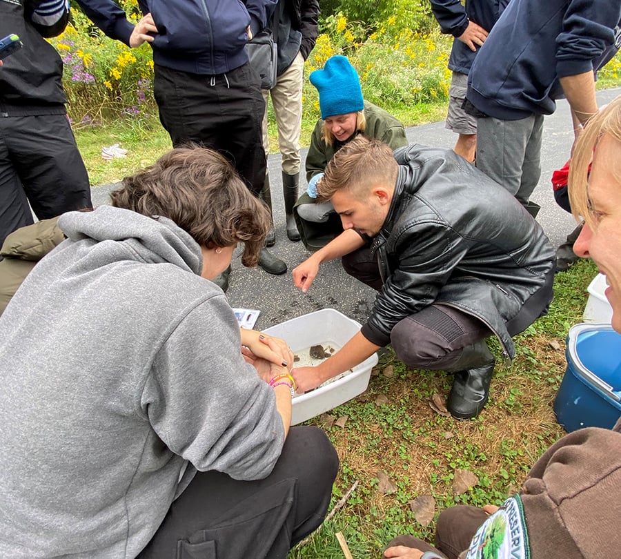 Students gather around to inspect the water and animals in a bin.