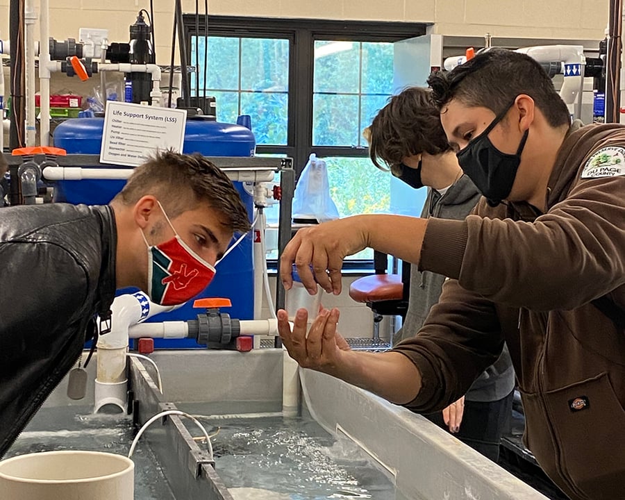 One person holds a jar of water above a research tank while another peers into the jar.