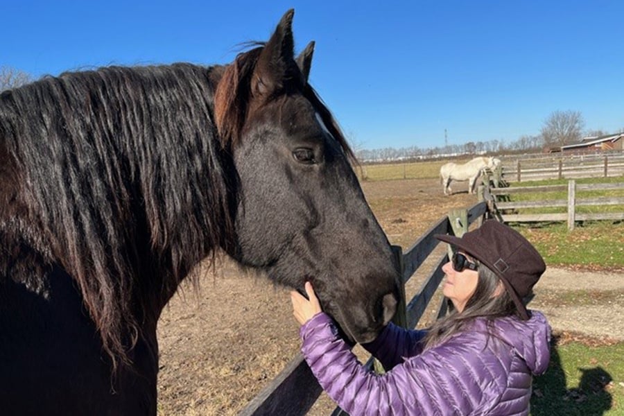 Percheron-Diane-Miller-Kline-Creek-Farm-900-600