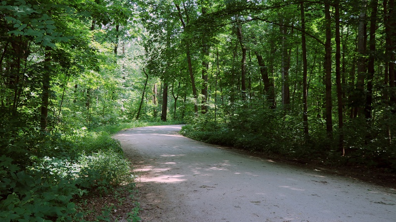 Burlington-Park-summer-trail-800x450