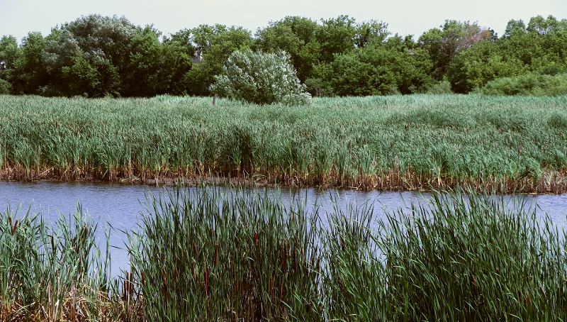 Country-Lakes-800x450