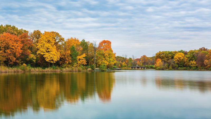 Herrick-Lake-fall-scenic-800x450