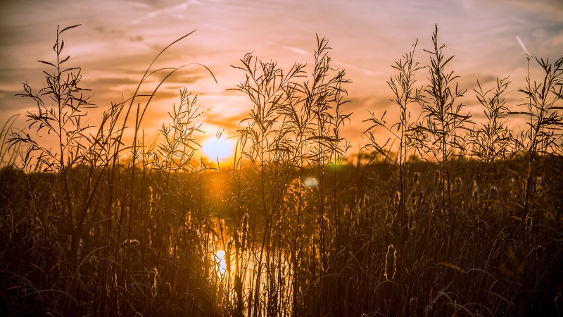 Hidden-Lake-sunset-800x450