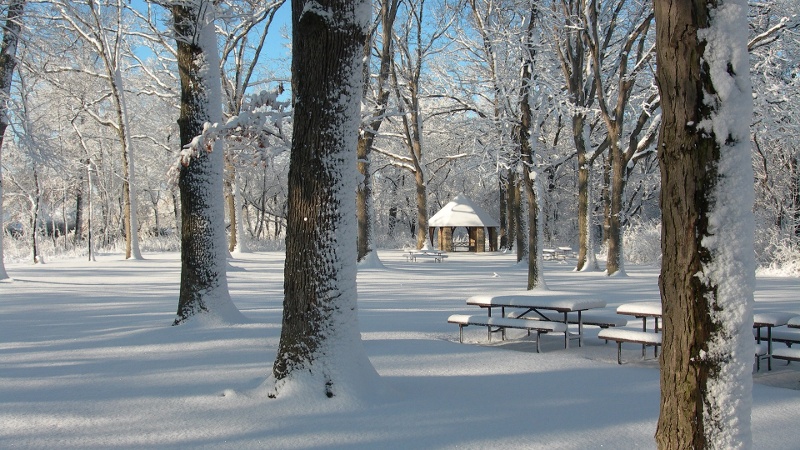 Salt-Creek-Park-winter-800x450