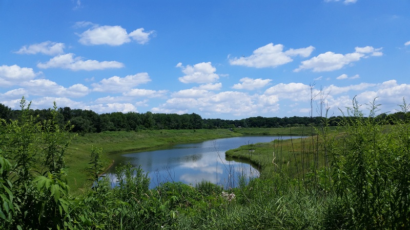 Spring-Creek-Reservoir-800x450