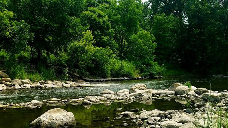 warrenville-grove-river-800x450