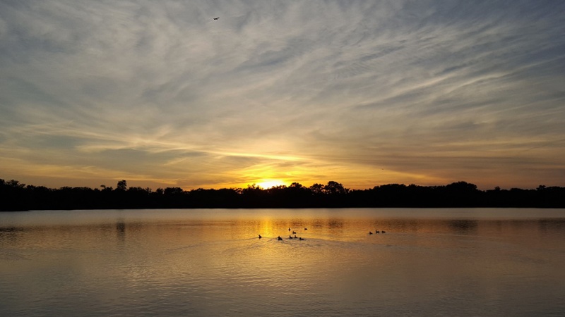 west-branch-lake-800x450