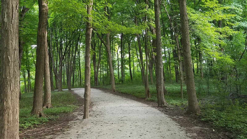 west-dupage-woods-800x450