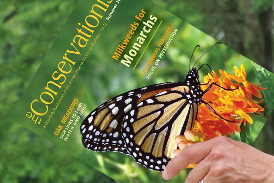 conservationist-900x600
