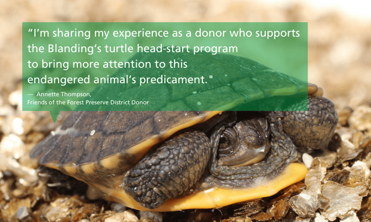 Donor-Annette-Thompson-quote-Blanding-turtle-endangered-species