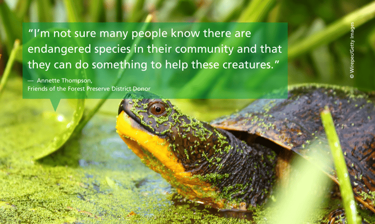 Donor-Annette-Thompson-quote-endangered-Blandings-turtle-support-©- Wirepec-Getty-Images