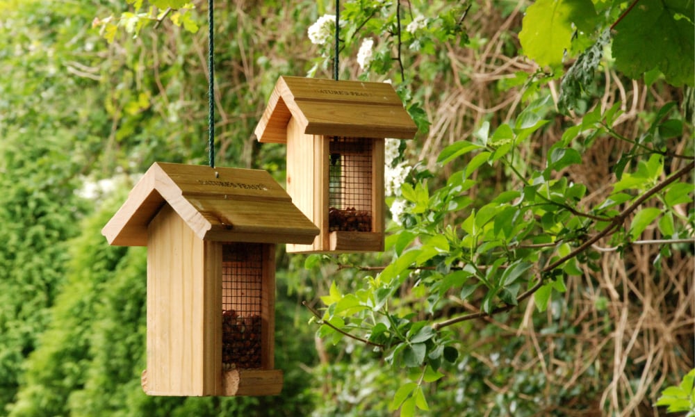 two-wooden-bird-feeders-hang-in-tree