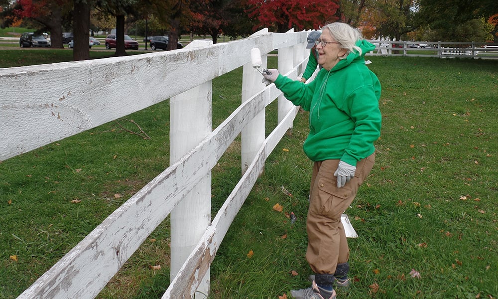 Danada-fence-painting-1000x600