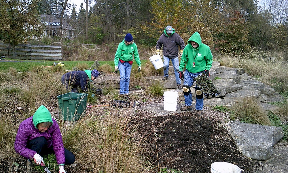 Volunteer-workday-1000x600