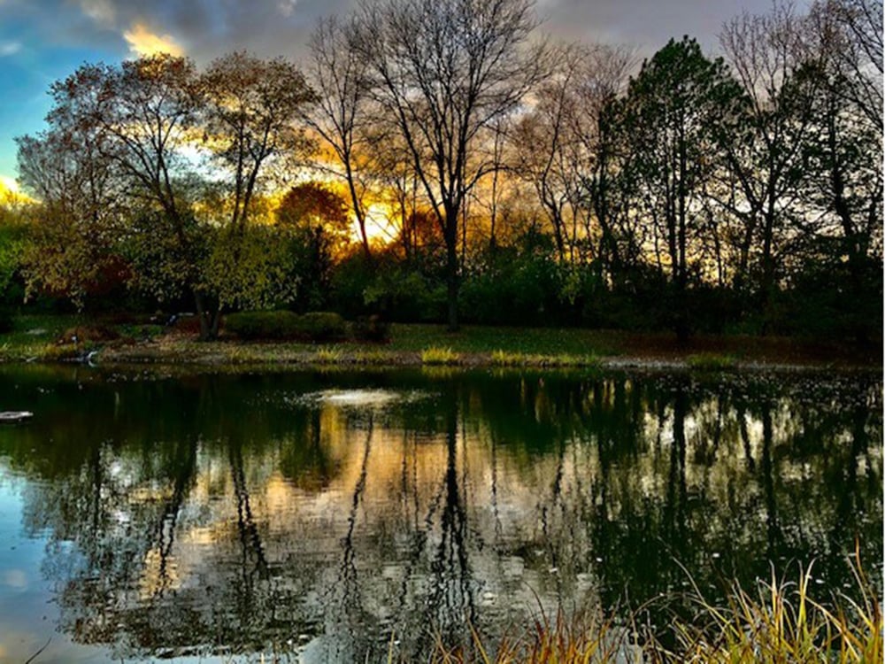 Little-Sister-Pond-Fran-Glowinski