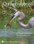 cover of the summer 2017 Conservationist