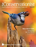 fall-conservationist-2018-cover