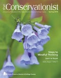 cover of the spring 2018 Conservationist