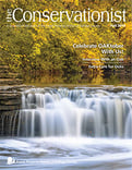 cover of the fall 2019 Conservationist