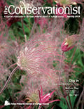Cover of spring 2019 Conservationist