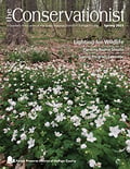 cover of the spring 2021 Conservationist