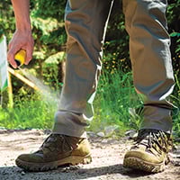 bug-spray-Crisp0022Shutterstockcom