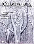 cover of winter 2022 Conservationisti