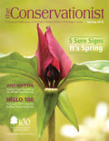 red trillium on cover of spring 2015 Conservationist