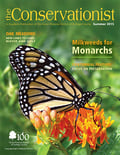 monarch butterfly on cover of summer 2015 Conservationist