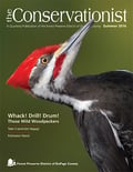 pileated woodpecker on cover of summer 2016 Conservationist