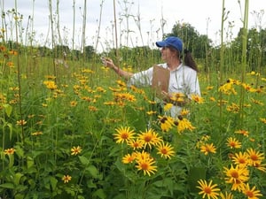 cindy-crosby-planting-for-pollinators-speaker