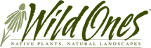 wild-ones-logo