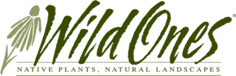 Wild Things logo