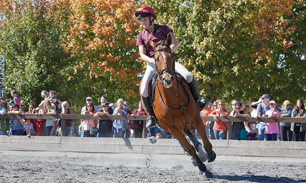 Fall-Festival-at-Danada-Equestrian-Performance-1000x600