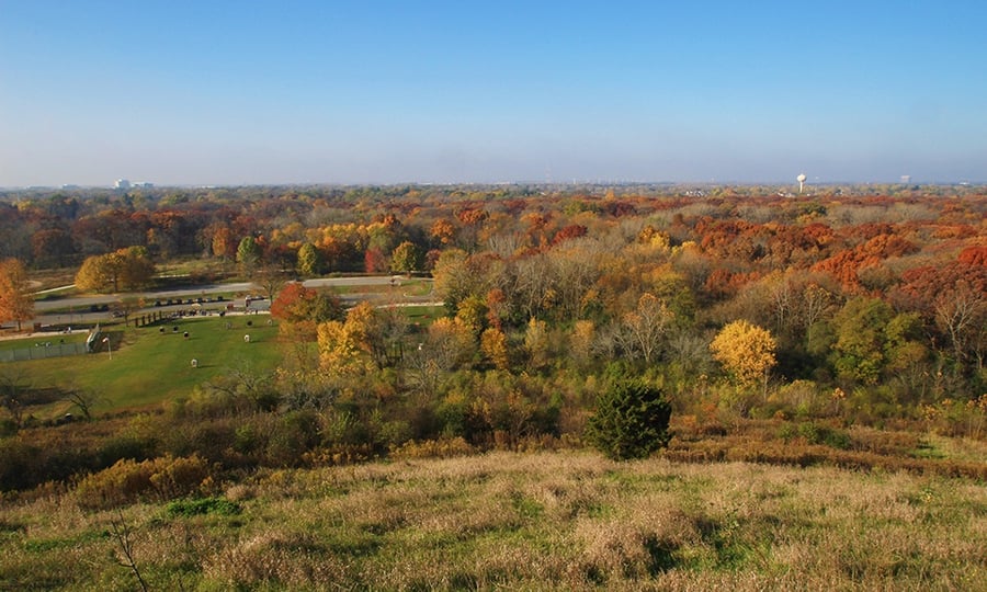 A view from atop a hill overlooking colorful trees.