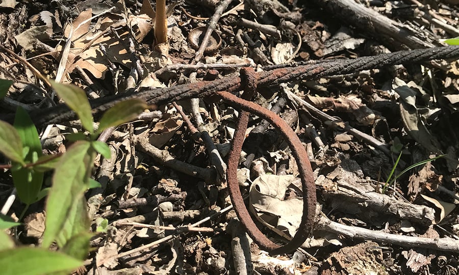 An old rusty cable lays in a bed of leaves and sticks.