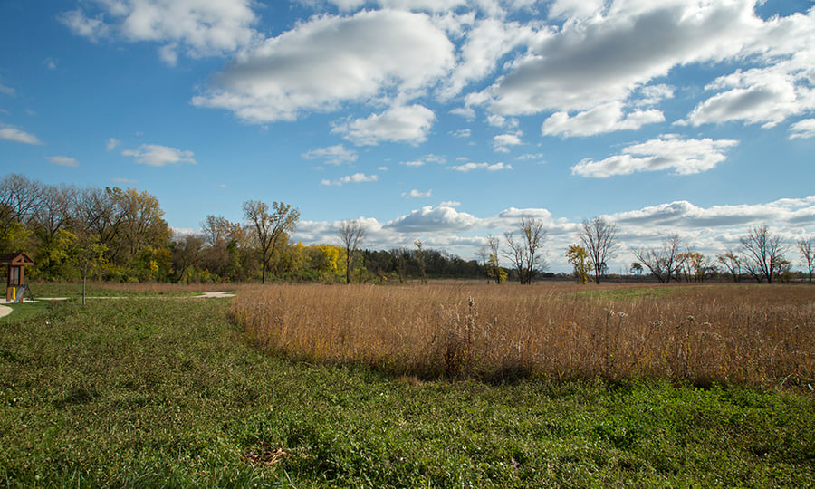 The Dunham Forest Preserve now features tall grasses, forests, and hiking trails.
