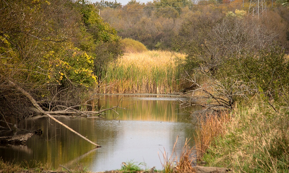 Hidden-Lake-IMG8826-edit-1000x600