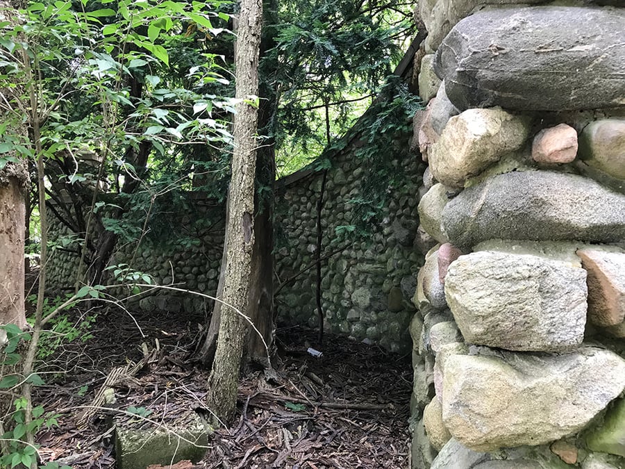 A stone wall with trees growing around it.