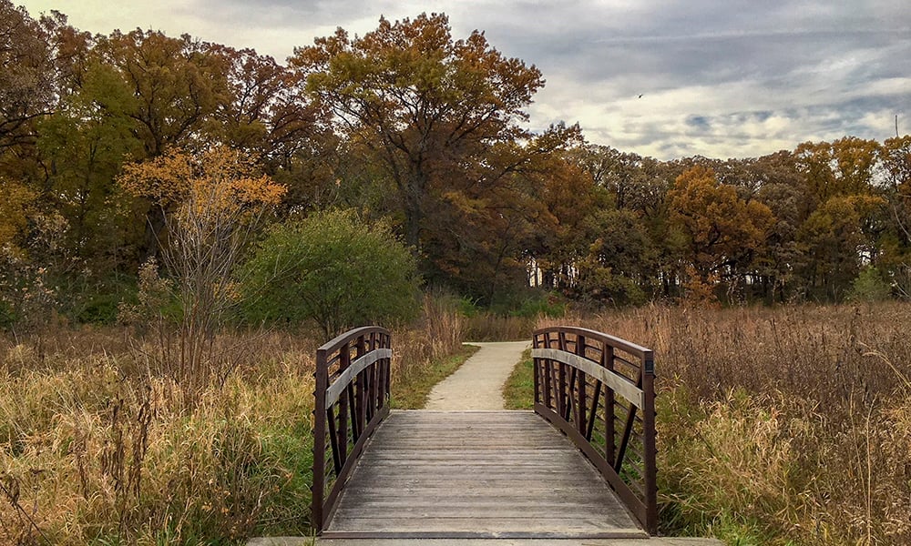 Oldfield-Oaks-bridge