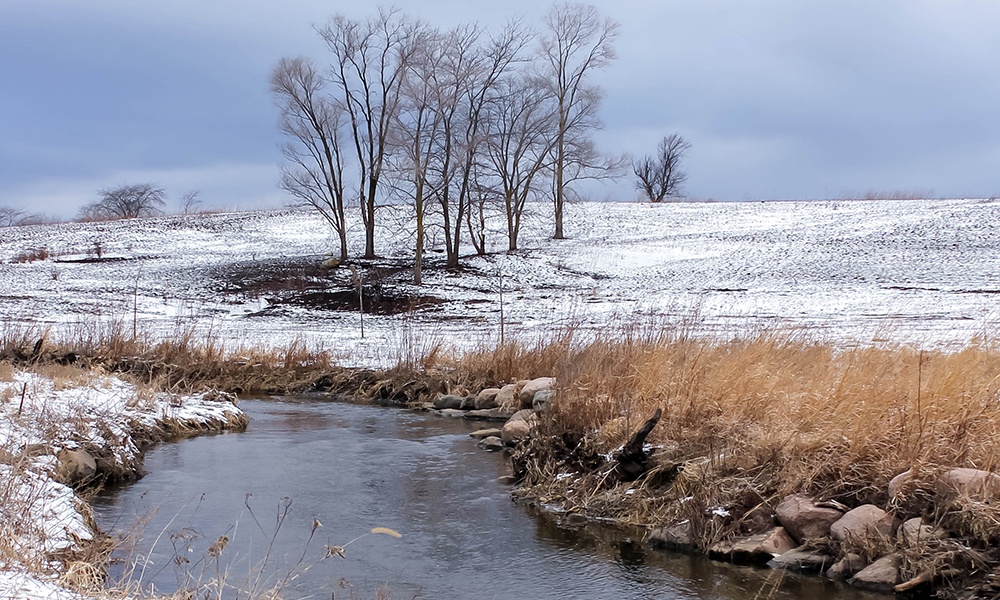 trees-prairie-winter-springbrook-prairie