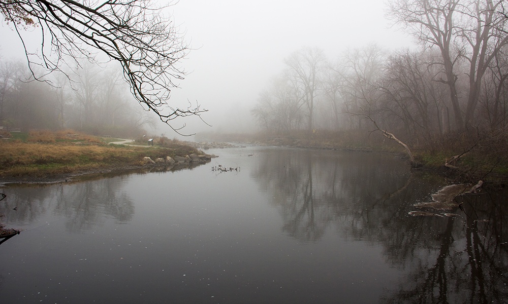 Warrenville-Grove-fog-1000x600