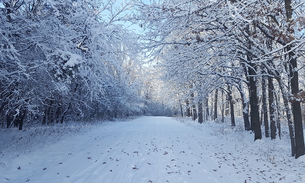 waterfall-glen-snowy-trail-1000x600