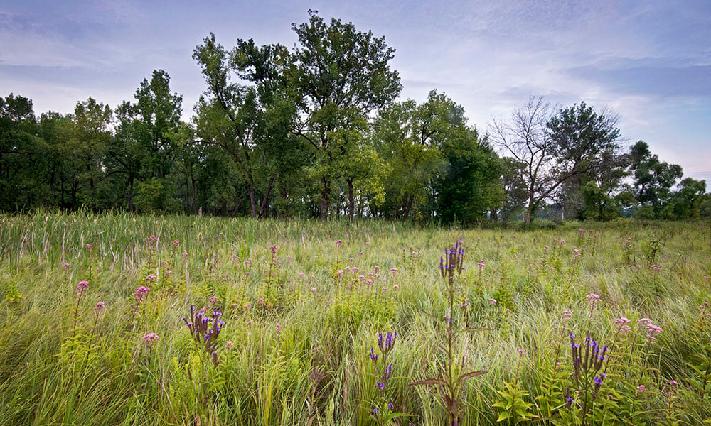 West-Chicago-Prairie-Baldwin