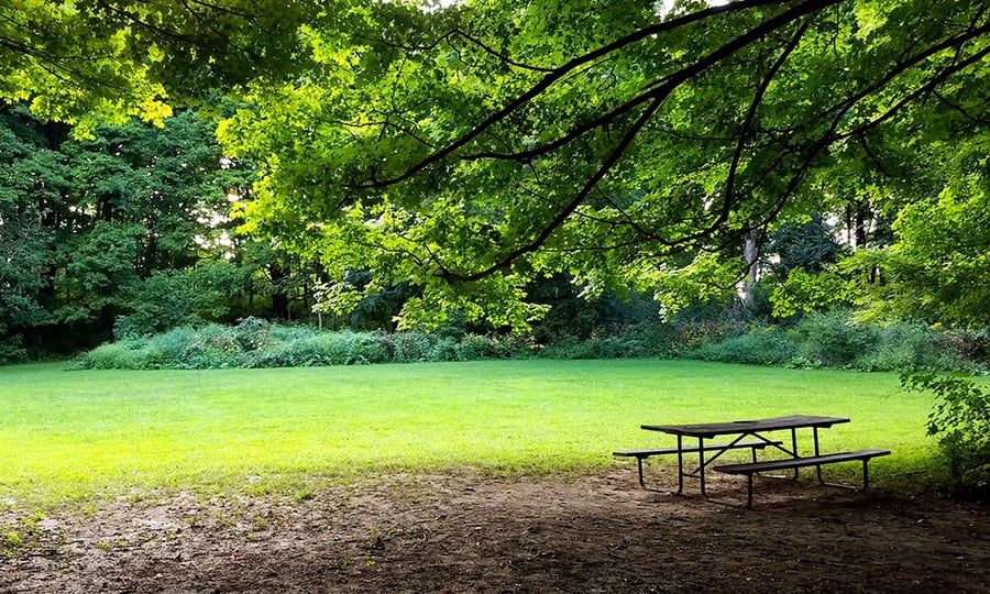 A tree shades a picnic table on the edge of an open field.