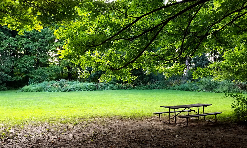 West-DuPage-Woods-Picnic