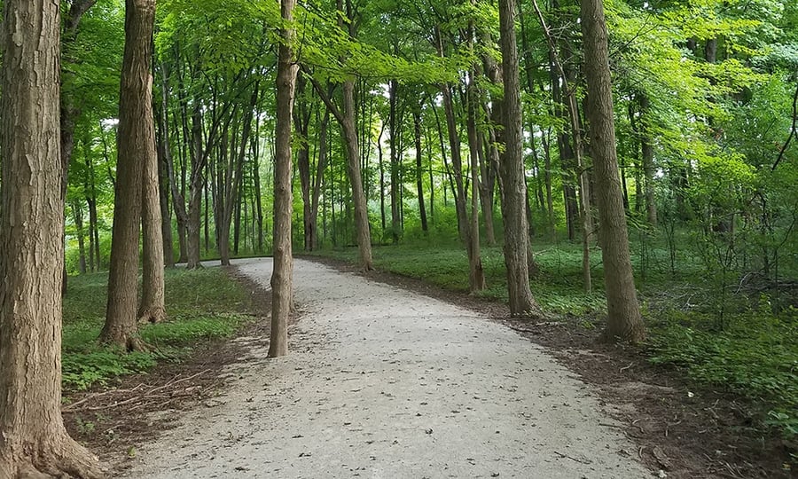 The canopy of tall trees covers a limestone hiking trail in shade.