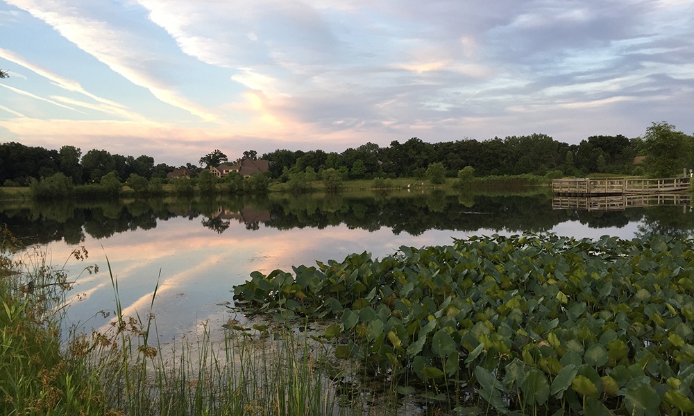 Wood-Dale-Grove-Lake