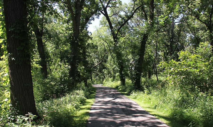 Oak trees, bushes, and grasses surround a winding asphalt trail.