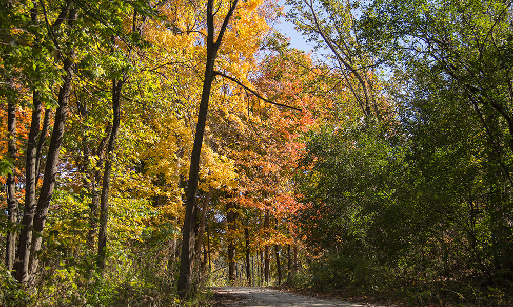 FBW-fall-colors